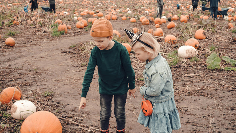 Pumpkin Patch Learning Ideas for Kids