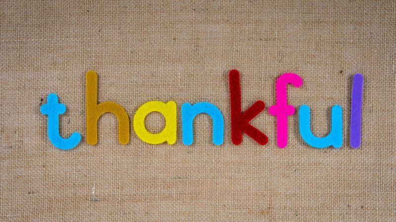 Thankful Trees: A Family Gratitude Activity 🌳